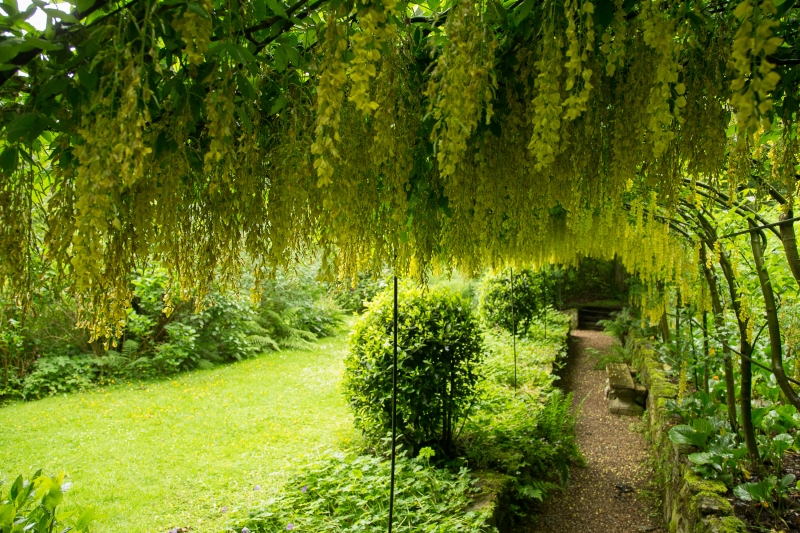 Renishaw Hall & Gardens